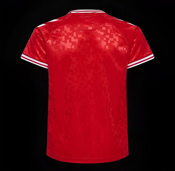 2024 Denmark Home Jersey - Image 2