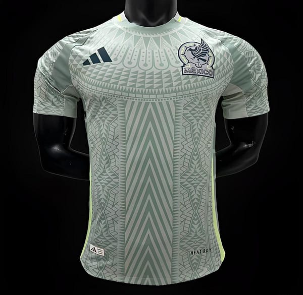 Player Version 2024 Mexico Copa America Away Jersey