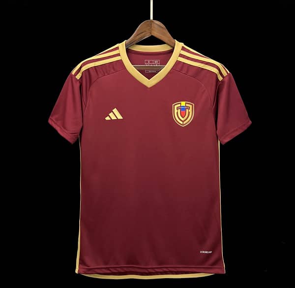 2024 Venezuela Copa America Home Jersey