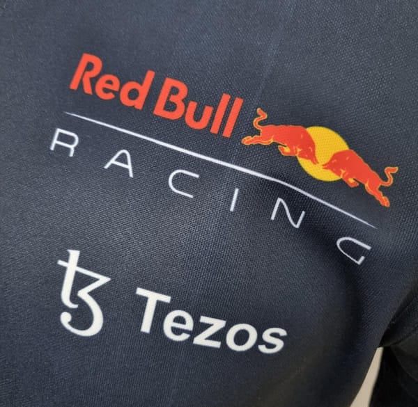 2022 F1 Formula One; Red Bull POLO Royal Blue - Image 5