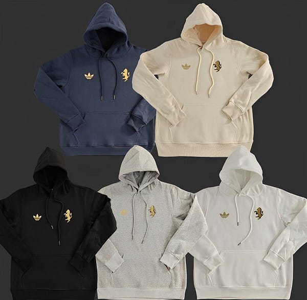 2024 Juventus Black/Navy/Grey/Beige/White Hoodie With Golden Badge
