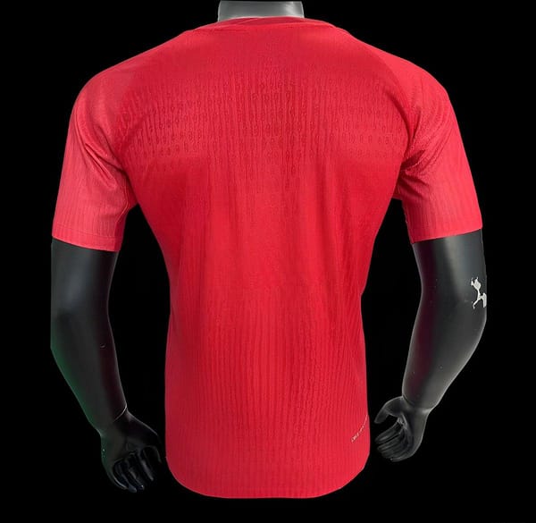 Player Version 24/25 PSG Fourth Red Jersey - Image 2