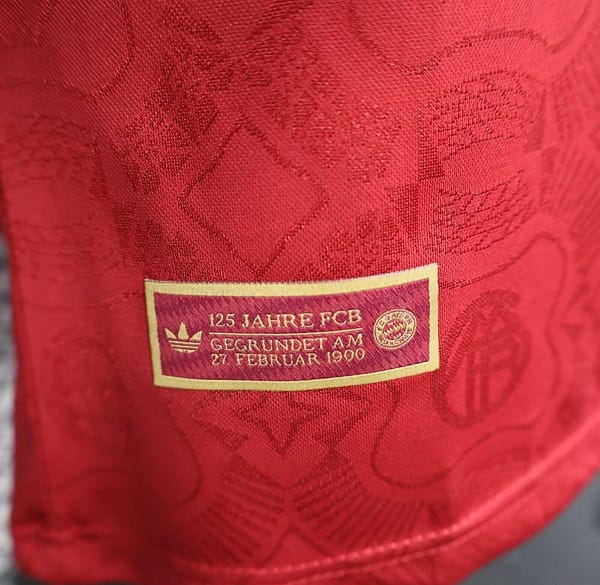Player Version 24/25 Bayern Munich 125 Anniversary Long Sleeve Jersey - Image 4