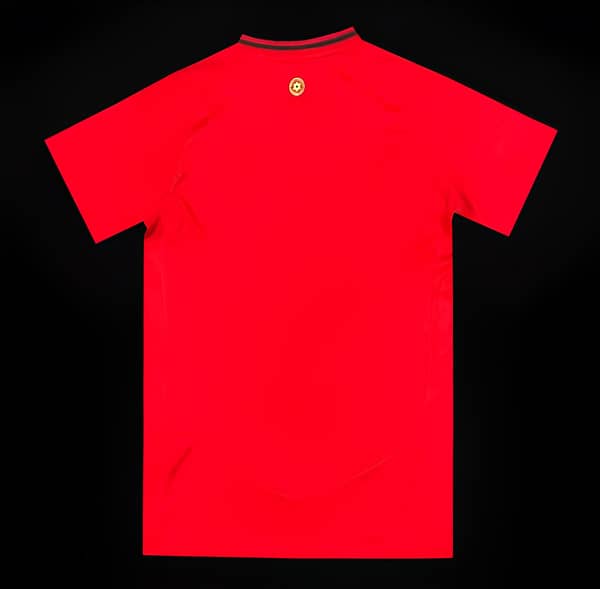 2024 Wales Home Jersey - Image 2