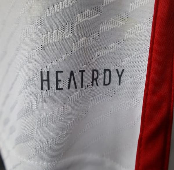 Player Version 2024 United Arab Emirates Home Jersey - Image 9