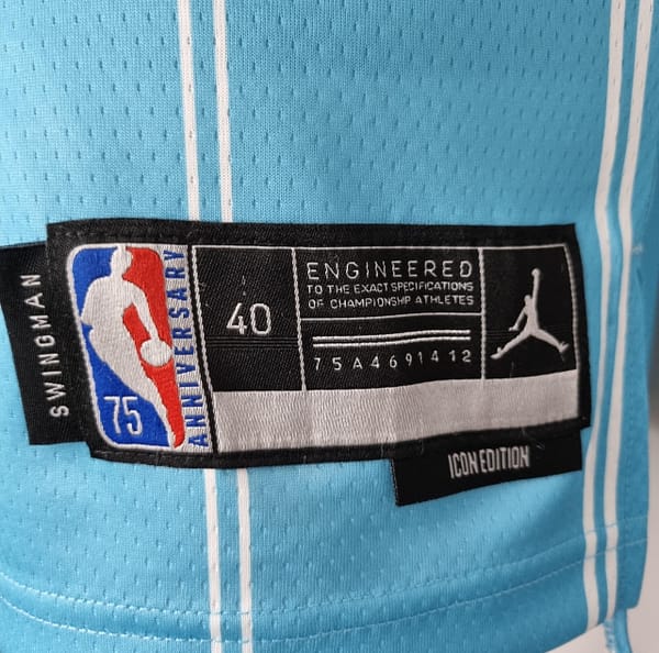 75th Anniversary Hayward #20 Charlotte Hornets Blue NBA Jersey - Image 3