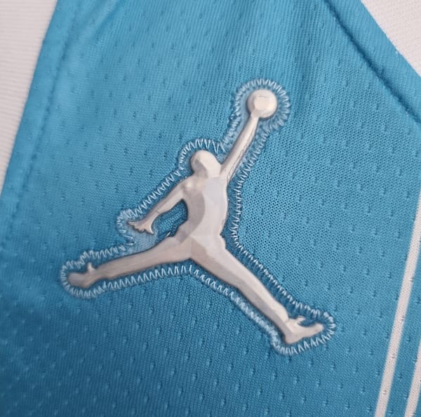 75th Anniversary Hayward #20 Charlotte Hornets Blue NBA Jersey - Image 5