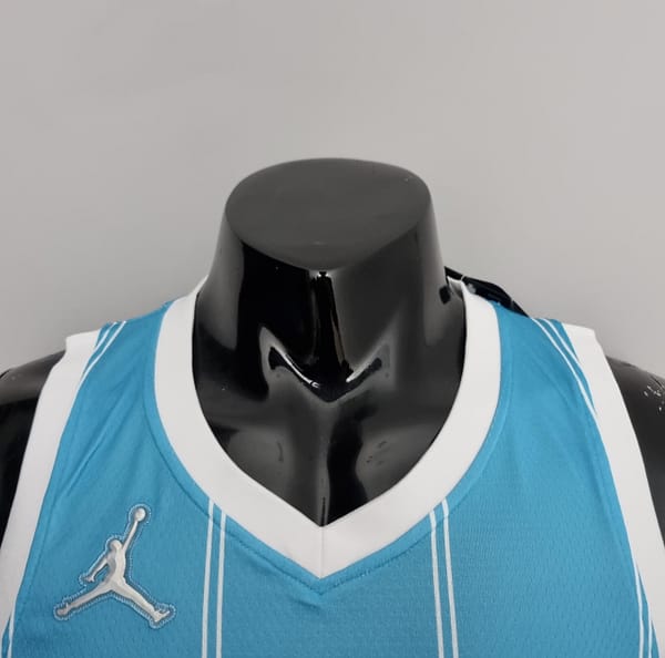75th Anniversary Hayward #20 Charlotte Hornets Blue NBA Jersey - Image 6