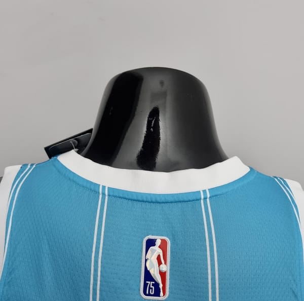 75th Anniversary Hayward #20 Charlotte Hornets Blue NBA Jersey - Image 8