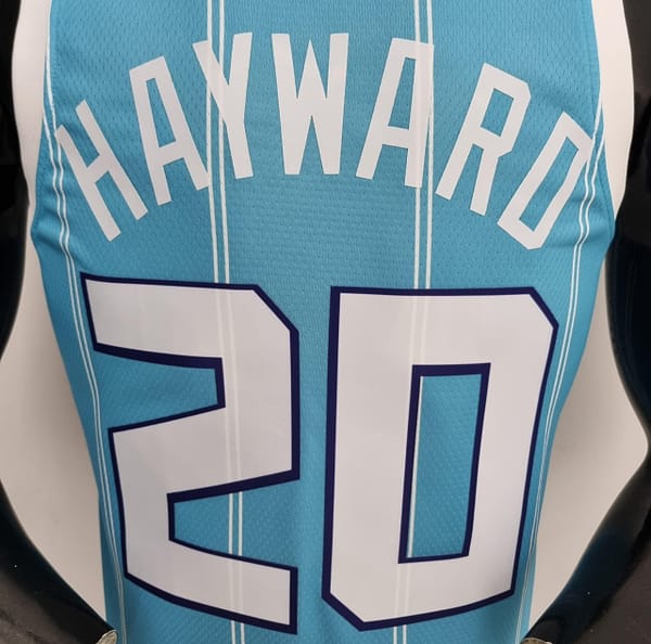 75th Anniversary Hayward #20 Charlotte Hornets Blue NBA Jersey - Image 9