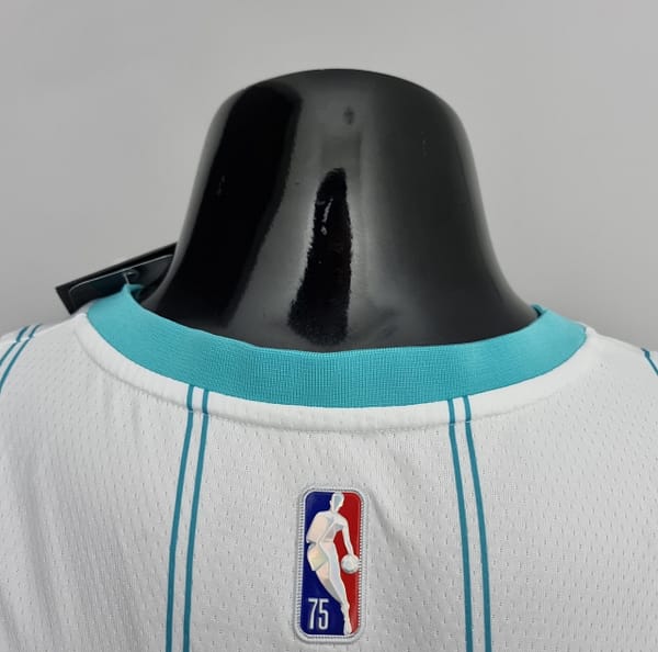 75th Anniversary Hayward #20 Charlotte Hornets White NBA Jersey - Image 2