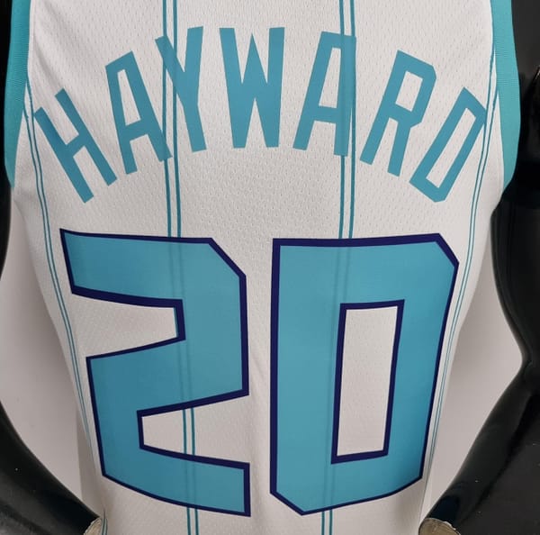75th Anniversary Hayward #20 Charlotte Hornets White NBA Jersey - Image 3