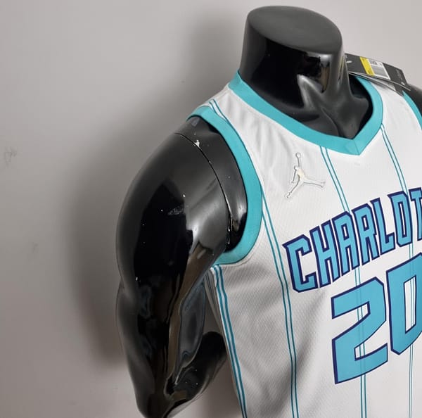 75th Anniversary Hayward #20 Charlotte Hornets White NBA Jersey - Image 5