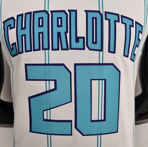 75th Anniversary Hayward #20 Charlotte Hornets White NBA Jersey - Image 6