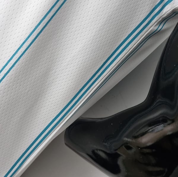 75th Anniversary Hayward #20 Charlotte Hornets White NBA Jersey - Image 7