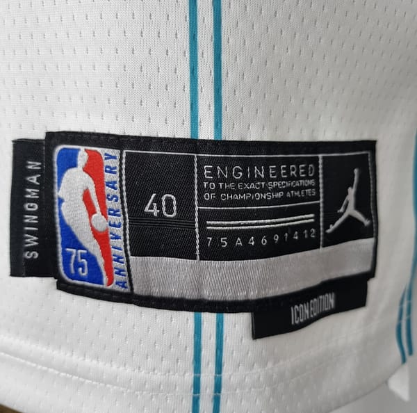 75th Anniversary Hayward #20 Charlotte Hornets White NBA Jersey - Image 8