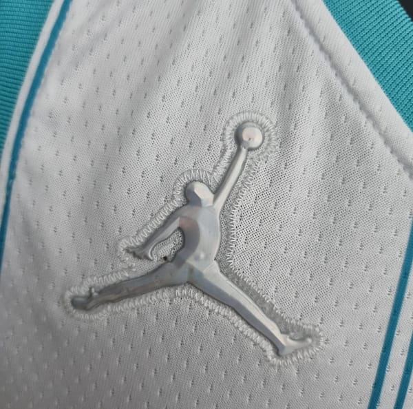 75th Anniversary Hayward #20 Charlotte Hornets White NBA Jersey - Image 9