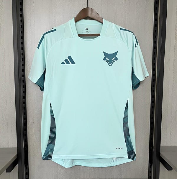 25/26 Cruzeiro Training Light Green Jersey S-XXXXL
