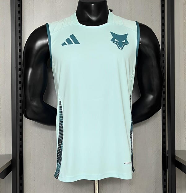 25/26 Cruzeiro Training Jersey Vest Jersey S-XXXXL