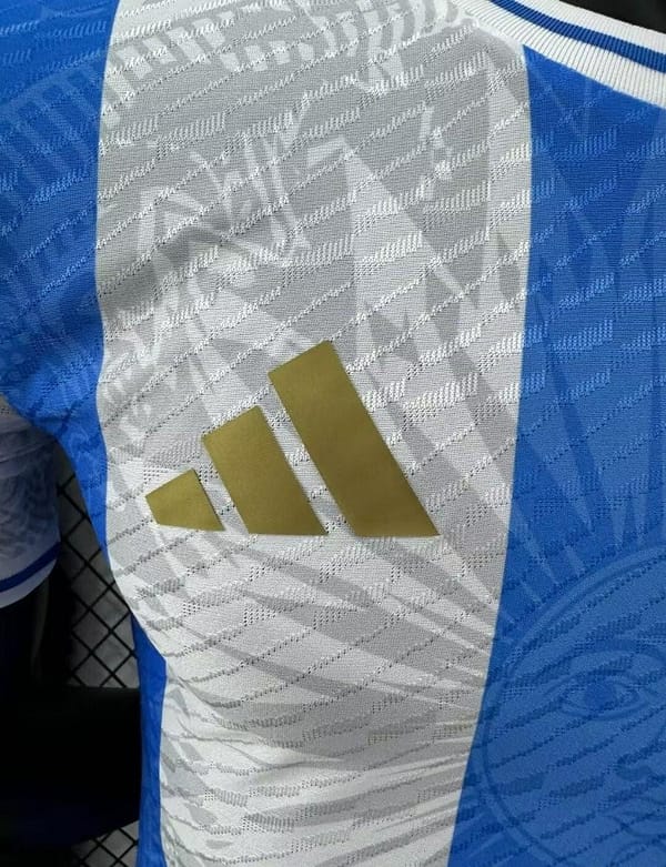 Player Version 2024 Argentina Blue/White Concept Jersey - Image 8