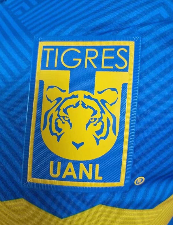 Player Version 24/25 Tigres UANL Home Jersey - Image 5