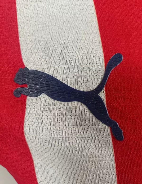 Player Version 24/25 Chivas Guadalajara Home Jersey - Image 6