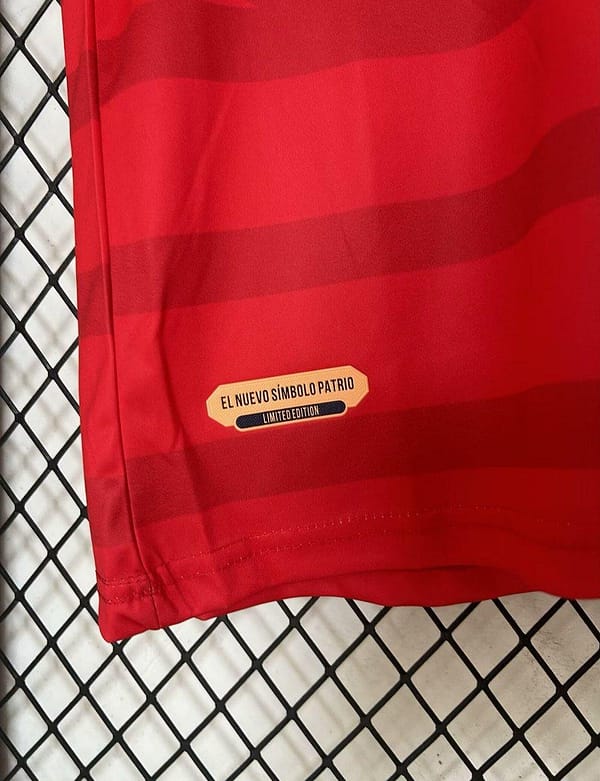 2024 Panama Home Jersey - Image 5