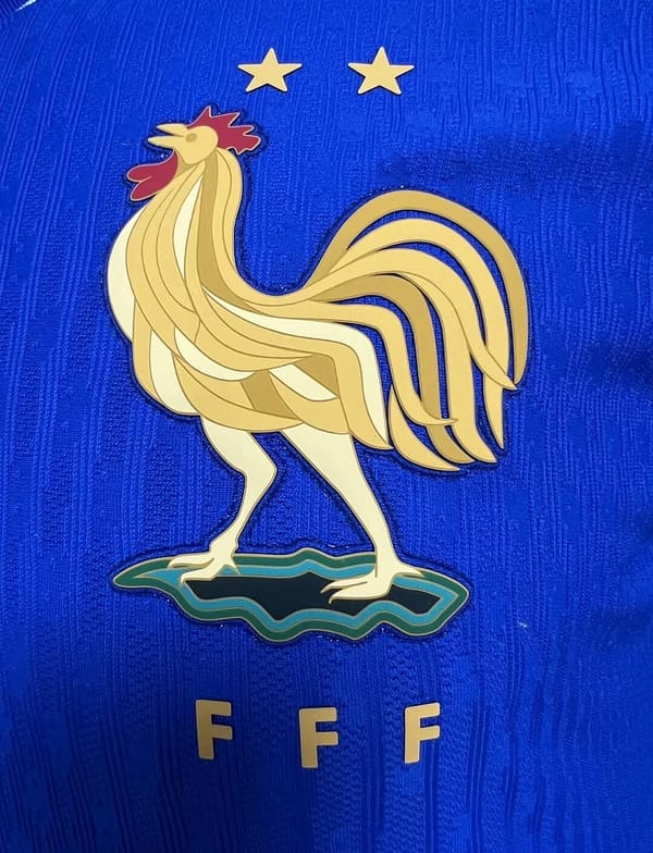 Player Version 2024 France Home Jersey - Image 3