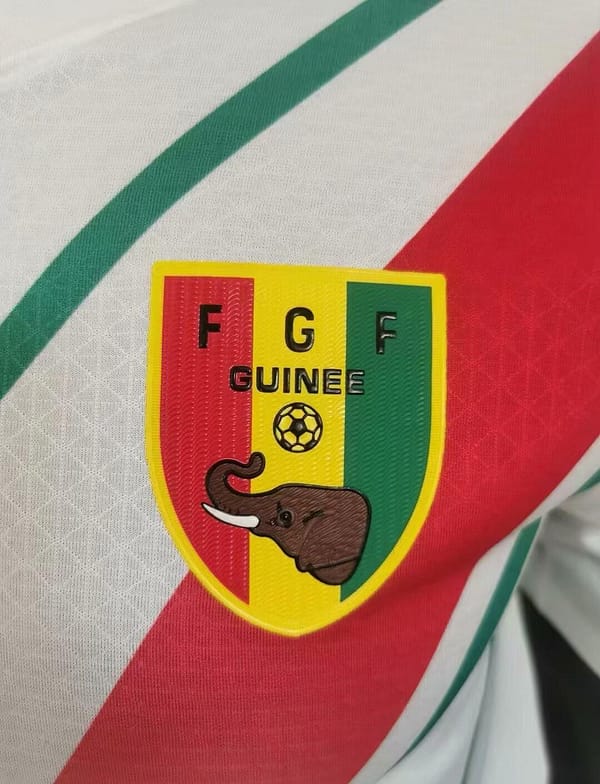 2024 Guinea Away Jersey - Image 2