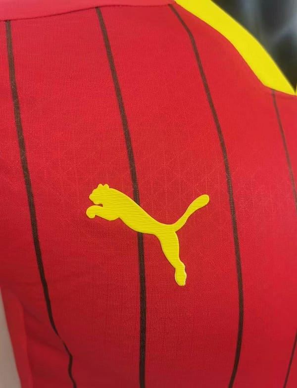 2024 Guinea Home Jersey - Image 2