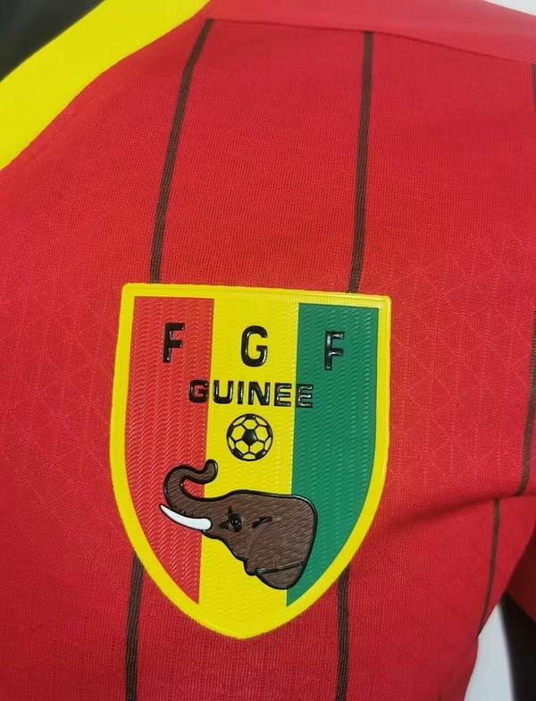 2024 Guinea Home Jersey - Image 3