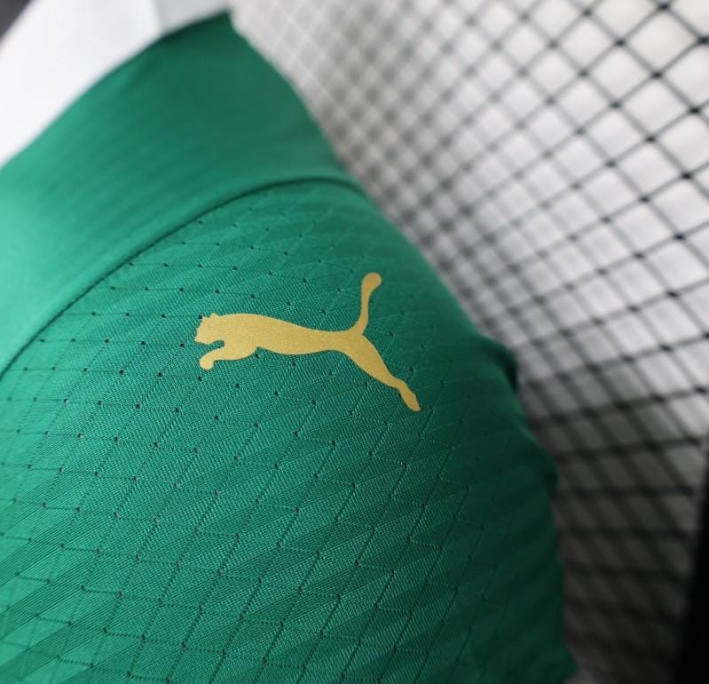 Player Version 24/25 Palmeiras Home Jersey - Image 8